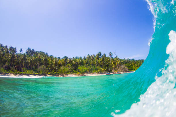 A wall of water as a wave breaks in paradise In the water on a tropical island as a wave of pristine water forms into a barrel perfect for surfing. Mentawai Islands stock pictures, royalty-free photos & images