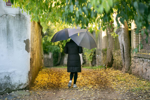 istock woman with umbrella, walking along the road 1309680324