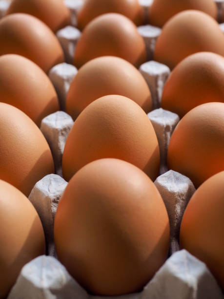 istock Fresh brown eggs, food, cooking ingredients 1309680446