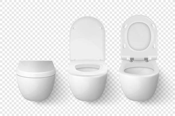 Vector 3d Realistic White Ceramic Closed, Opened Toilet Bowl with Lid Set on Transparent Background. Toilet Room. Plumbing, Mockup, Design Template for Interior, Cleaning, Hygiene Concept. Front View Vector 3d Realistic White Ceramic Closed, Opened Toilet Bowl with Lid Set on Transparent Background. Toilet Room. Plumbing, Mockup, Design Template for Interior, Cleaning, Hygiene Concept. Front View. toilet bowl stock illustrations