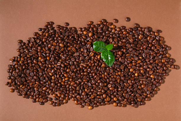 istock Roasted brown coffee beans on a brown background. 1309685289