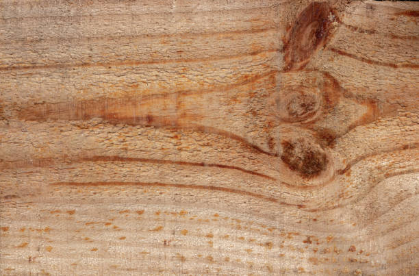 istock Full frame wood pattern, old wood, country or loft style, use as background. 1309685313