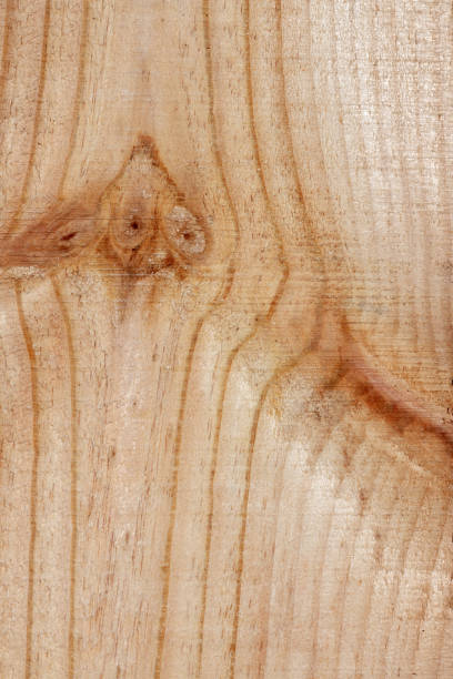 istock Full frame wood pattern, old wood, country or loft style, use as background. 1309685911