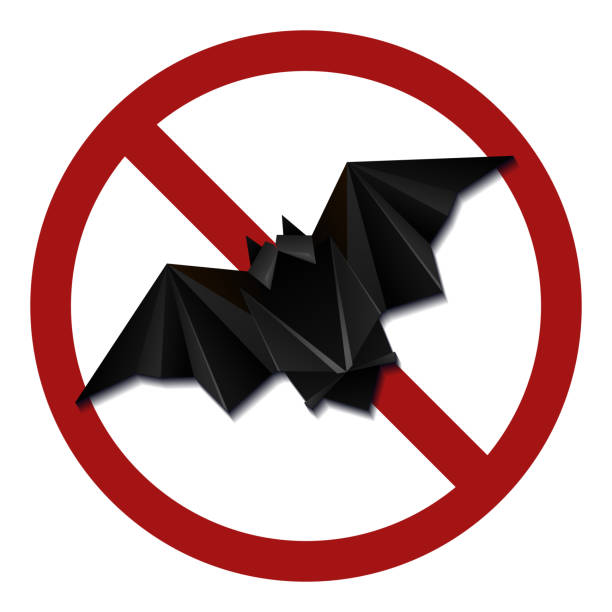 illustrazioni stock, clip art, cartoni animati e icone di tendenza di pipistrello origami in un cartello di proibizione rosso. pericolo di infezione. non allevare pipistrelli. non nutrire la bestia selvaggia. origami animale selvatico - deadly sings