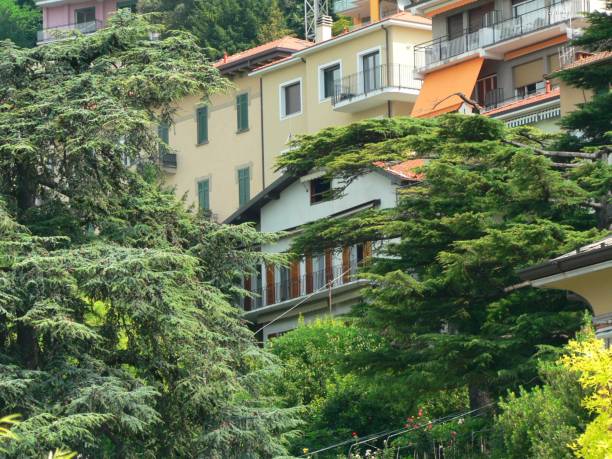 istock Como Lake in Italy 1309691010