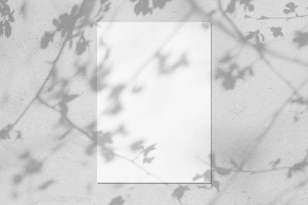 istock Empty white vertical rectangle poster mockup with leaves and flowers shadows 1309691134
