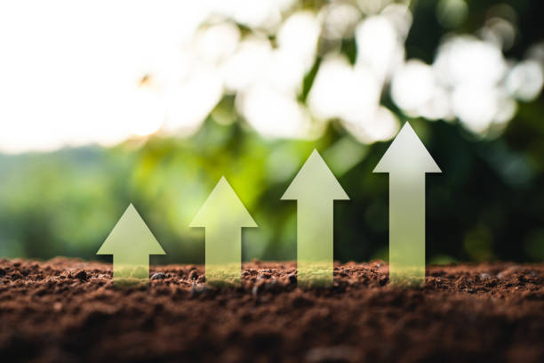 istock Growth concept Natural green background 1309691191