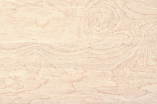 istock light brown wood texture, plank surface. old wooden background. 1309694647