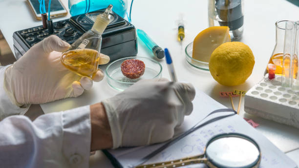 istock Laboratory assistant at the workplace makes notes in a notebook. Laboratory procedure for food safety, analysis of food products from the market. 1309694656