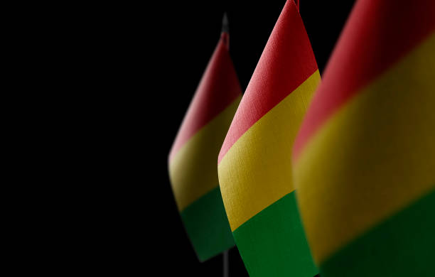 istock Small national flags of the Guinea on a black background 1309695199