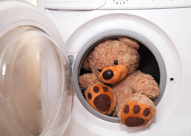 A toy brown bear looks out of the washing machine stock photo