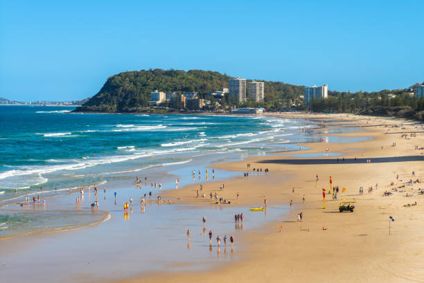 istock surfing paradise, gold coast 1309697768