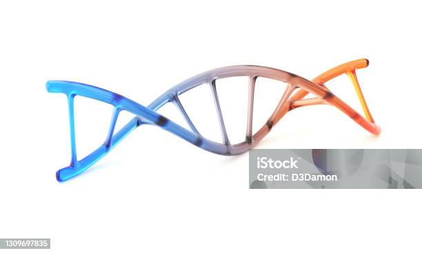 Glass Dna Structure Stock Photo - Download Image Now - DNA, White Background, Cut Out