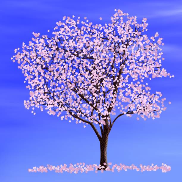 istock Japanese cherry blossoms, sakura. Cherry tree on a background of blue sky, illustration on the theme of spring. 1309697985