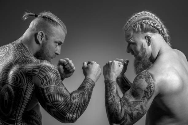 istock Two viking warrior brothers in studio shot 1309700078