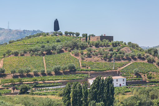 Peso da Regua / Portugal - 07 25 2019 : Full view at the typical landscape of the highlands in the north of Portugal, levels for agriculture of Porto wine vineyards on Douro river borders, Peso da Regua city