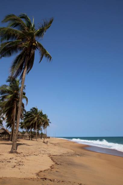 istock Coco Beach in Avepozo, Togo, West Africa. 1309703170