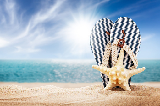 Summer backgrounds: overhead view of starfish and seashells arranged at the right border of sand background. High resolution 42Mp digital capture taken with SONY A7rII and Zeiss Batis 40mm F2.0 CF lens