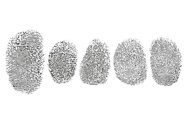 czarne ikony wektora linii papilarnych ustawione na białym tle. - fingerprint thumbprint human finger track stock illustrations