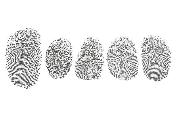 Fingerprint vector black icons set isolated on a white background. Fingerprint vector black icons set isolated on a white background. crime stock illustrations