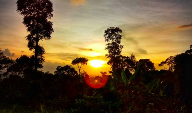 istock Sunset In Dago Village 1309704558