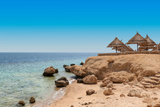 istock Beautiful beach in Red Sea 1309705764