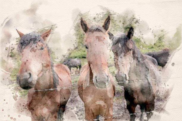 istock a brown bay horses nose 1309707667