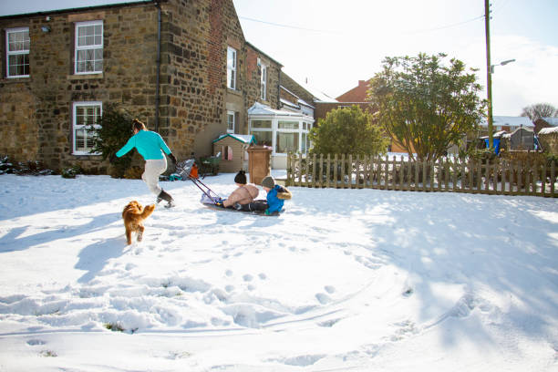 istock They Love the Winter Snow 1309708868