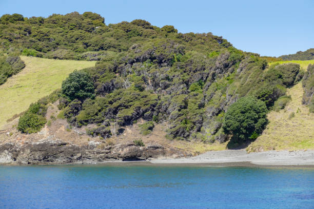 istock Bay of Islands 1309709139