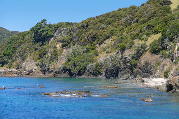 istock Bay of Islands 1309709175