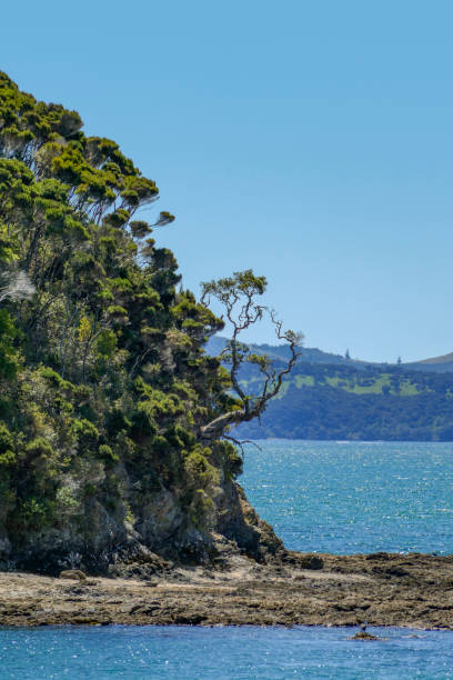 istock Bay of Islands 1309709271