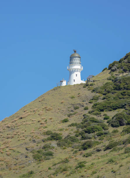 istock lighthouse at the Bay of Islands 1309710739