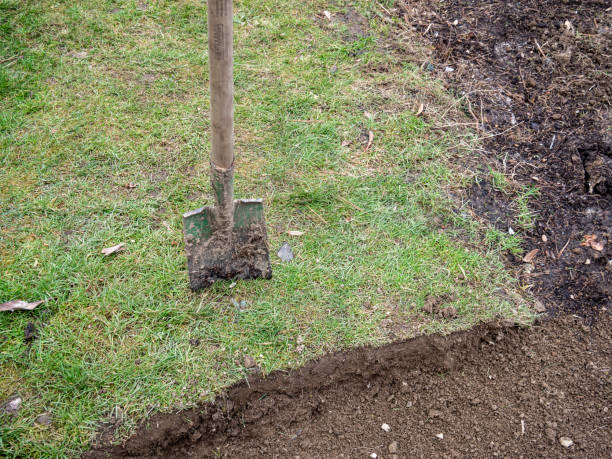 istock Wiese is cut off with a spade 1309712305