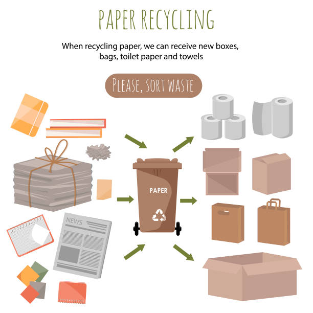Used paper items and items made from recycled paper. New life for paper. Examples of used paper products. Vector illustration. Items on white background Used paper items and items made from recycled paper. New life for paper. Examples of used paper products. Vector illustration. Items on white background paper towel stock illustrations