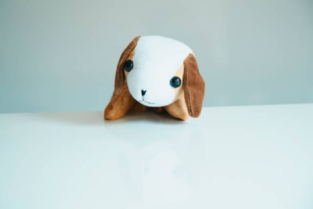 The animal puppet acting on white background