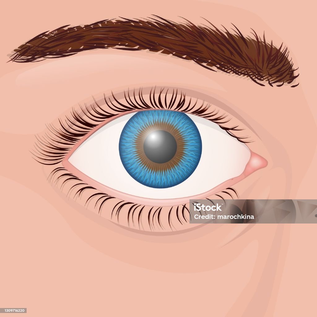 Eyes Rait Human Eye Stock Illustration - Download Image Now - Eye, Backgrounds ...