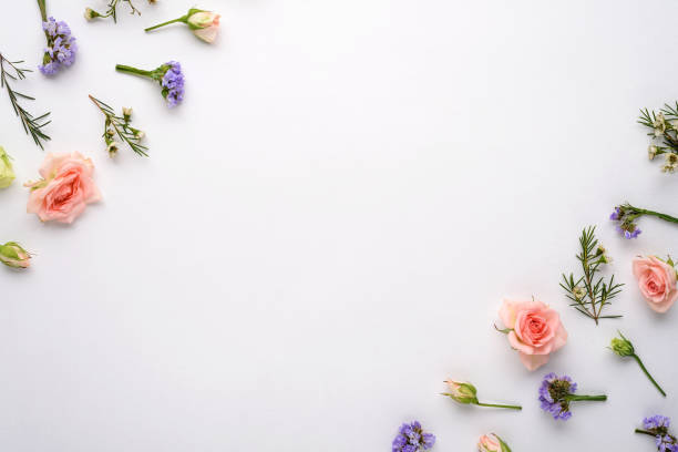 istock top view flower composition on white background, pink roses, eustoma, limonium in corners, flat lay, copy space 1309717395