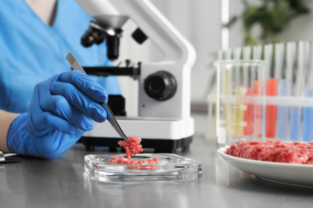 istock Scientist checking meat at table in laboratory, closeup. Quality control 1309717757