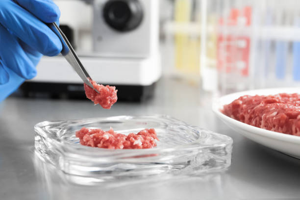 istock Scientist checking meat at table in laboratory, closeup. Quality control 1309717774
