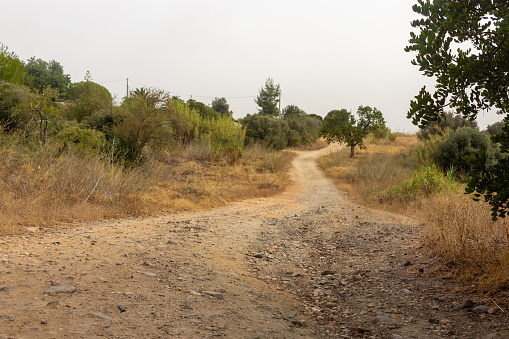 Diminishing perspective of the dirt path