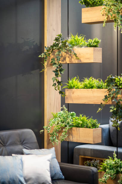istock Plants in the room 1309719022