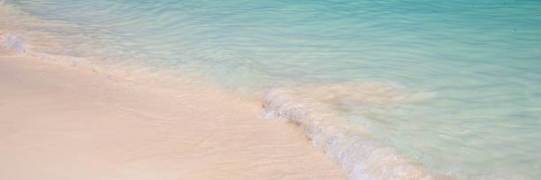 istock Sand and caribbean tropical beach, panoramic summer background 1309720556