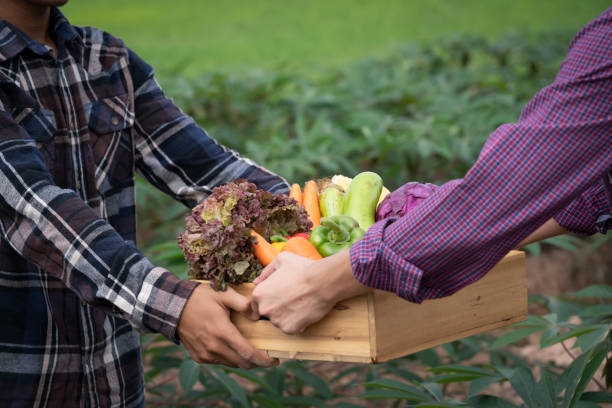 istock Young Asian man farmer with freshly picked vegetables in basket. 1309721940