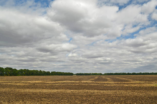 istock Plowed field after harvest. 1309723248