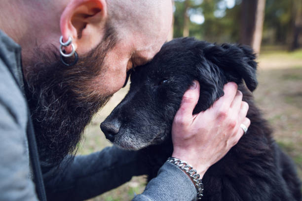 Man embracing his dog Man embracing his old sick dog and crying animal head man stock pictures, royalty-free photos & images