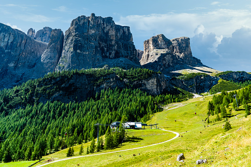 Italian mountains near the Langkofel Group, and green meadows on a sunny day.