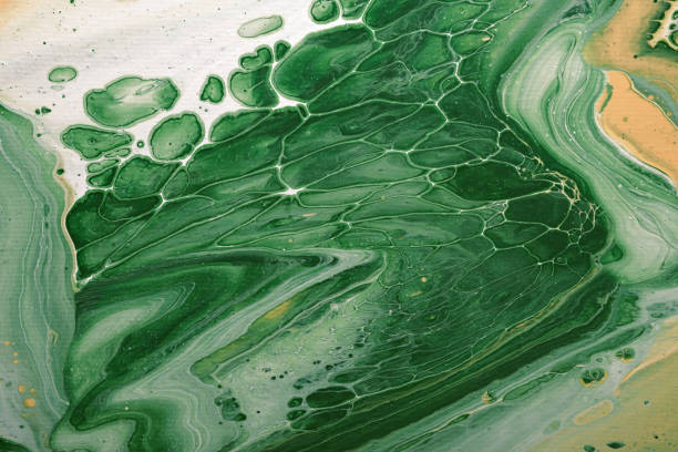 istock Acrylic Fluid Art. Green waves and bubbles flow on canvas. Digital decor. Abstract stone background or texture 1309724773