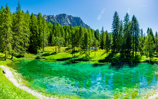 Italian alps in a sunny day. Lake surrounded by pine forest and mountains.