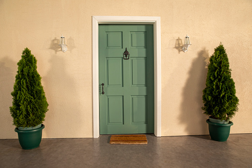 The door of the house and the flowers in front of the door. Yellow wall and green door. Pine trees