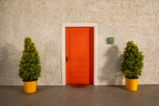The door of the house and the flowers in front of the door. Orange door, white stone wall and plants, pine trees